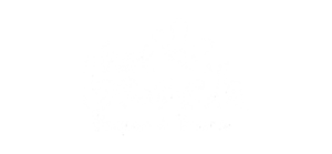 Ingresso Hot Beach em Olímpia
