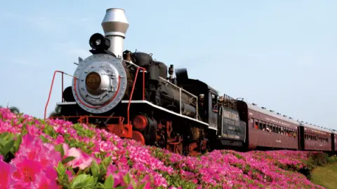 Atrações da Serra Gaúcha com a ParksNet