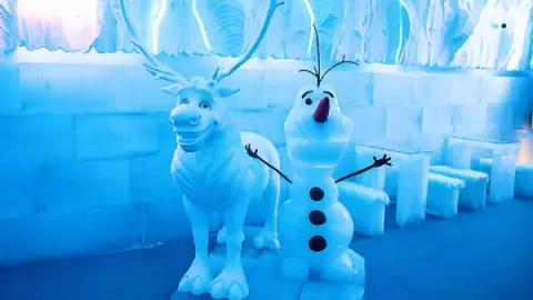 Ingresso Dreams Ice Bar em Olímpia