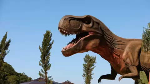 Ingresso Parque Aventura Jurássica em Balneário Camboriú