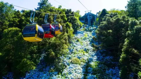 Ingresso Parque Bondinhos Canela