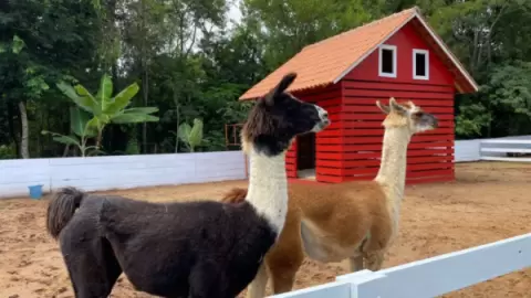 Ingressos Dreamland Eco Park