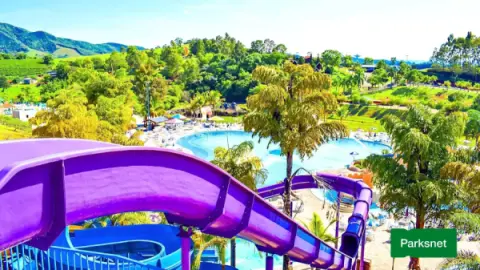 Ingresso Aquatica American Park