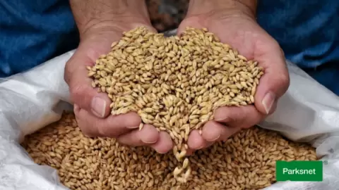 Ingresso Cervejaria Pomerania