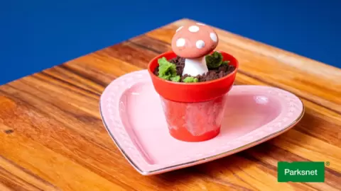 Ingresso Jantar Caça ao Tesouro Criamigos