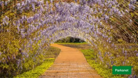 parksnet-imagem-galeria-ingresso-matria-parque-de-flores-em-gramado-rs-67f155809ff1e_1.webp