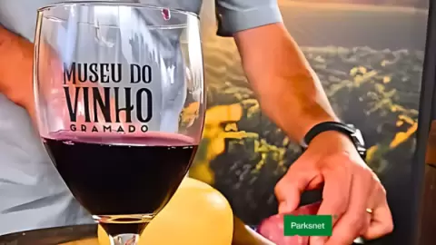 Ingresso Museu do Vinho Gramado