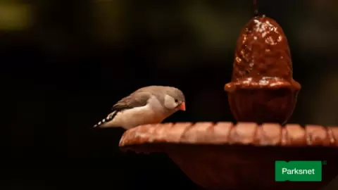 Ingresso Oceanic Aquarium em Balneário Camboriú