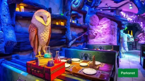 Ingresso Parque Terra Mágica Florybal