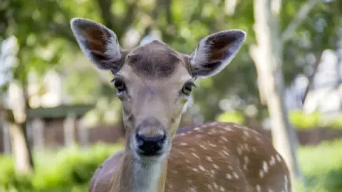 Ingressos Zoológico de Balneário Camboriú