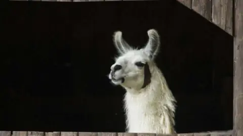 Ingressos Zoológico de Balneário Camboriú