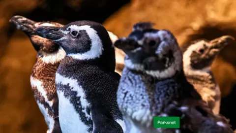 Passaporte Balneário 8 Atrações