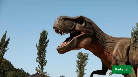 Passaporte Balneário 8 Atrações