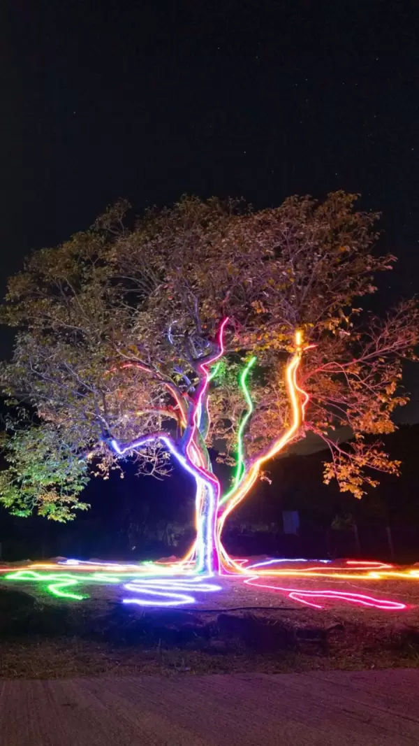 Imagem representativa: &Aacute;rvore da Vida Lumni, como uma obra de arte ela inspira e nos mostra que os sonhos s&atilde;o poss&iacute;veis