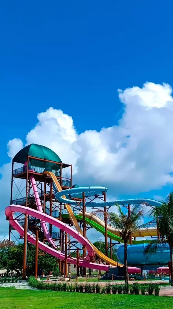 Imagem representativa: Encare de frente os perigos dos animais da floresta em 5 descidas diferentes