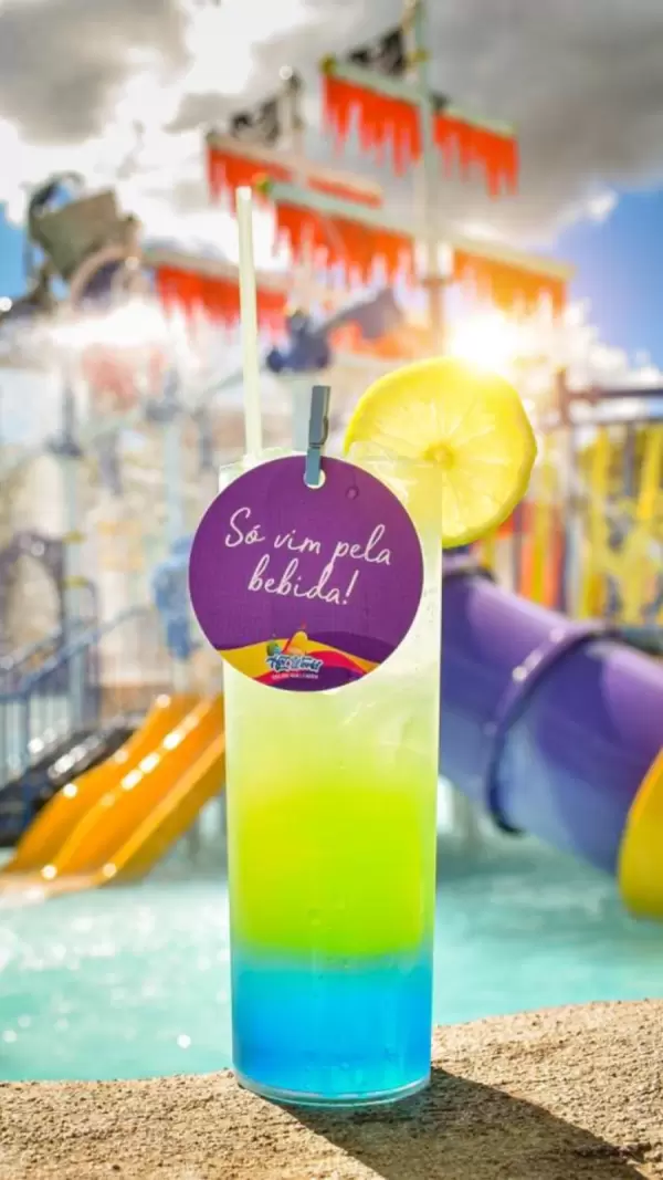 Imagem representativa: Bar Molhado, &aacute;guas quentes e drinks no&nbsp;Thermas Hot World