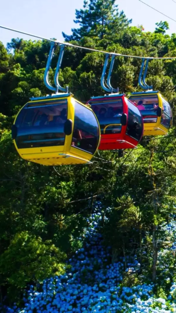 Imagem representativa: Atra&ccedil;&atilde;o pioneira em Canela, na Serra Ga&uacute;cha, os Bondinhos A&eacute;reos encantam<br />
turistas e comunidade h&aacute; mais de 9 anos. Este passeio &eacute; a oportunidade de<br />
contemplar por um &uacute;nico e privilegiado &acirc;ngulo frontal, a Cascata do Caracol, um<br />
dos mais belos cart&otilde;es postais do Brasil.