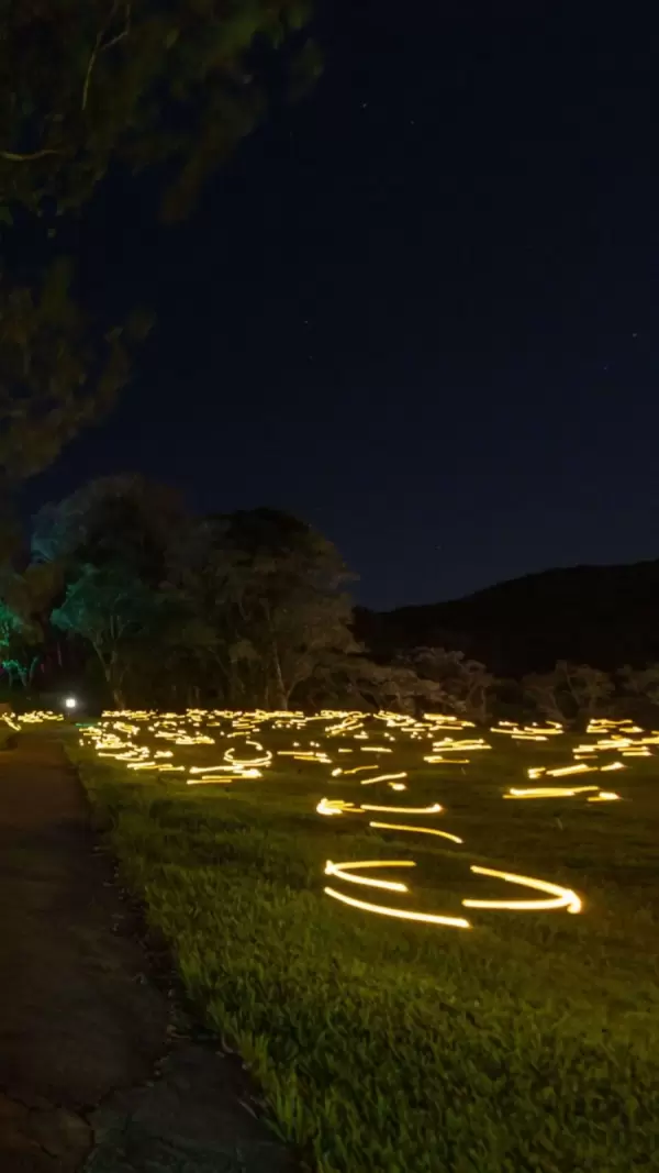 Imagem representativa: Um campo repleto de luzes que mais parecem estarem dan&ccedil;ando como vagalumes em meio a natureza noturna.