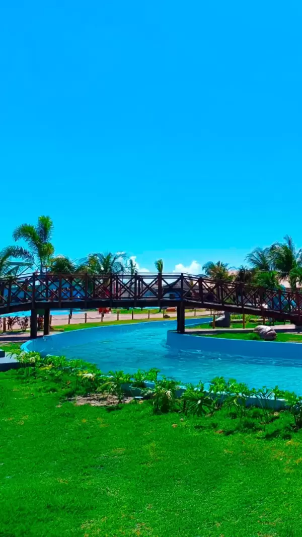 Imagem representativa: Passeie pelo parque enquanto relaxa na correnteza do Rio. Um percurso que vai encantar voc&ecirc;.