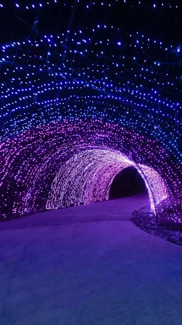 Imagem representativa: T&uacute;nel de Luzes Lumni. Onde luzes sincronizadas criam um ambiente perfeito para se encantar e registrar lembran&ccedil;as com a sua fam&iacute;lia.