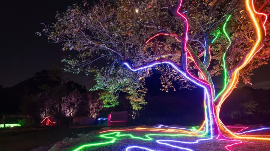Imagem destauente: Um campo repleto de luzes que mais parecem estarem dan&ccedil;ando como vagalumes em meio a natureza noturna.