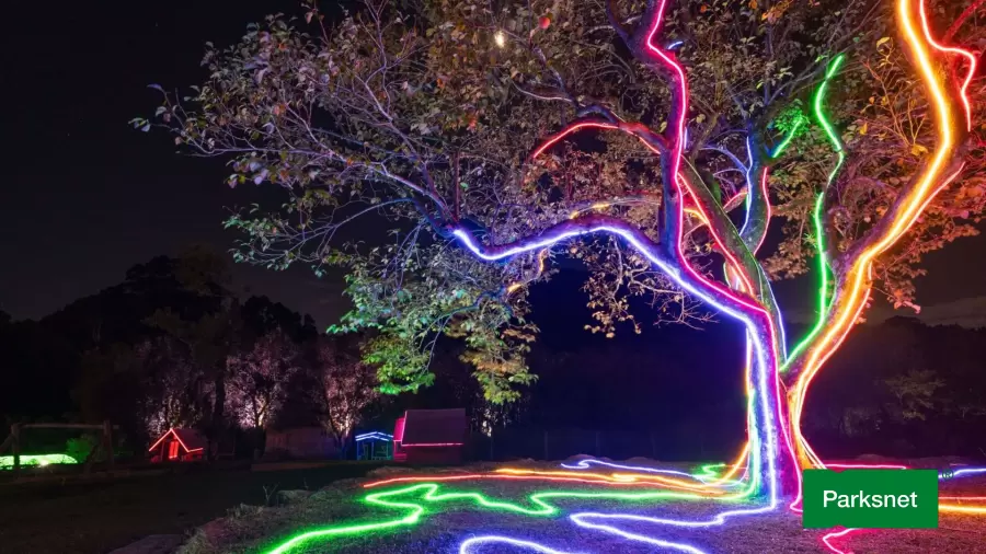 parksnet-imagem-galeria-cupom-de-desconto-parque-lumni-atualizado-junho-2025-685d2dba54f9b_0.webp