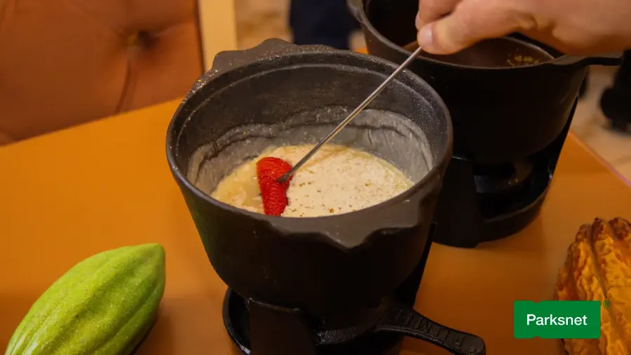 parksnet-imagem-galeria-fondue-chocoland-em-gramado-rs-6904a71724bbd_2.webp
