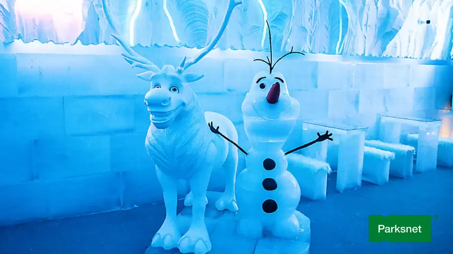 parksnet-imagem-galeria-ingresso-dreams-ice-bar-em-olimpia-6828d3f2603bc_0.webp