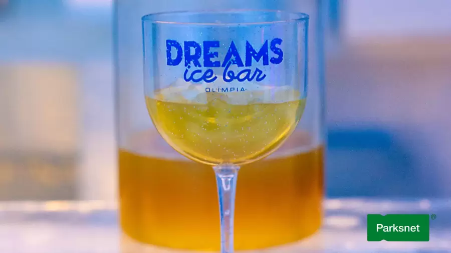 parksnet-imagem-galeria-ingresso-dreams-ice-bar-em-olimpia-6828d40a7e882_0.webp