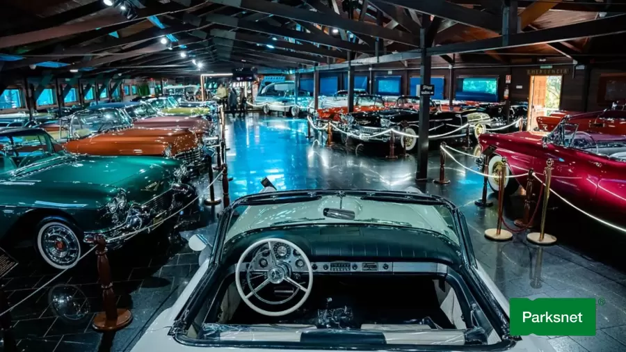 parksnet-imagem-galeria-ingresso-hollywood-dream-cars-em-gramado-rs-67f15b3450314_0.webp