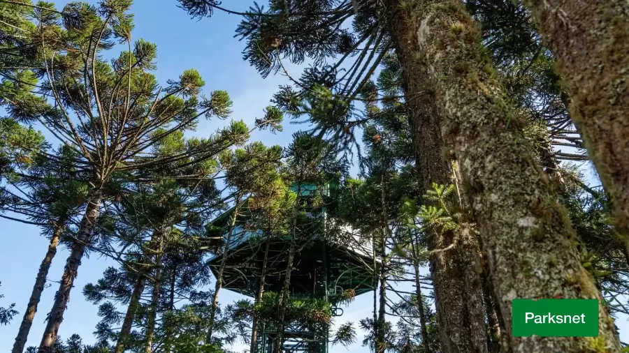 parksnet-imagem-galeria-ingresso-parque-do-caracol-canela-serra-gaucha-681a3eec29475_1.webp