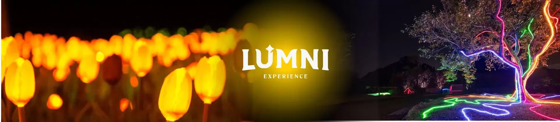 Ingresso Lumni Experience