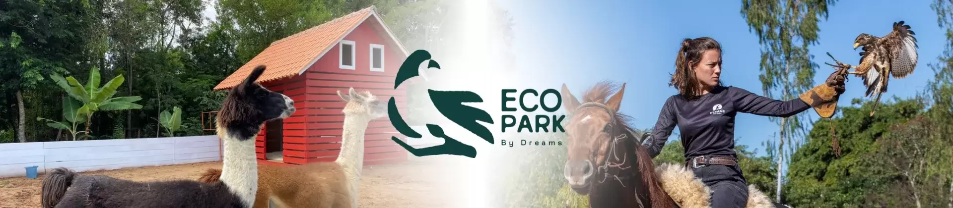 Ingressos Dreamland Eco Park