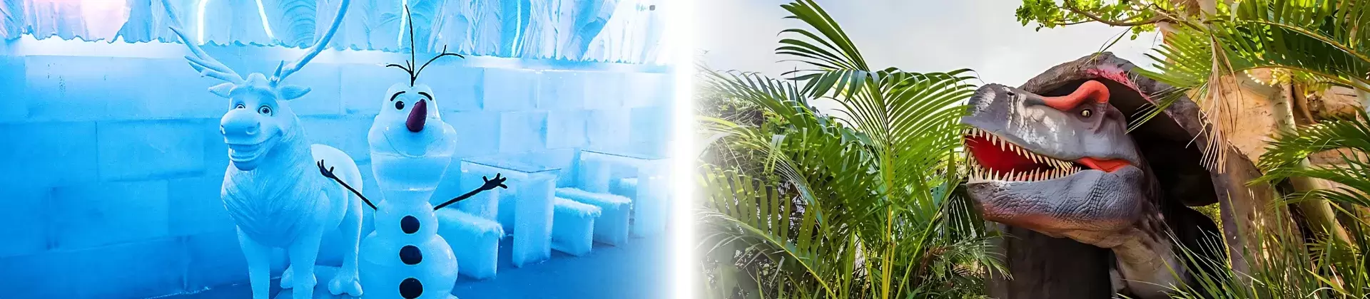 O que fazer em Olimpia, Ingressos com descontos é na ParksNet